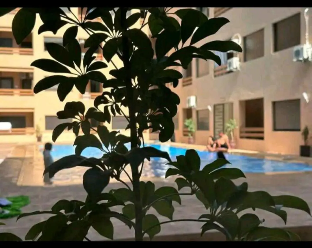 Appartement Gueliz 30 Marrakesh Morocco